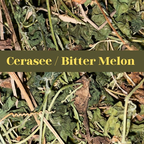 SALE Jamaican CERASEE | Bitter Melon | Momordica Charantia Freshly Grown organically in Jamaica  100% Wild Crafted & Hand Picked Herb