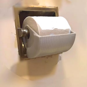 Pet Toilet Paper Protector/Strumento di addestramento. Impedisce agli animali domestici di distruggere la carta igienica. Spedizione in tutto il mondo disponibile. Colori multipli disponibili.