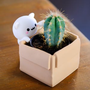 May include: A small, green cactus with yellow spines sits in a black pot inside a beige box. A white, cartoon-like figure with a bear-like appearance is leaning over the box. The scene is set on a wooden surface.