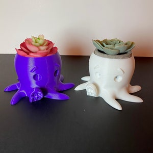 Custom Octopus Plant Pot, perfect for Succulents, Herbs and Similar Plants. Multiple Colors Available.