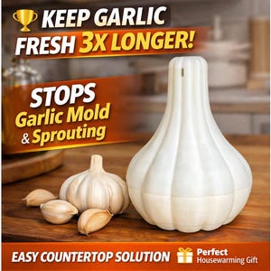 Belüfteter Knoblauchhalter | Frischer Aufbewahrungsbehälter, Verhindert Schimmelpilze