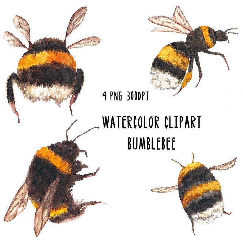 vera bradley bumble bee pattern