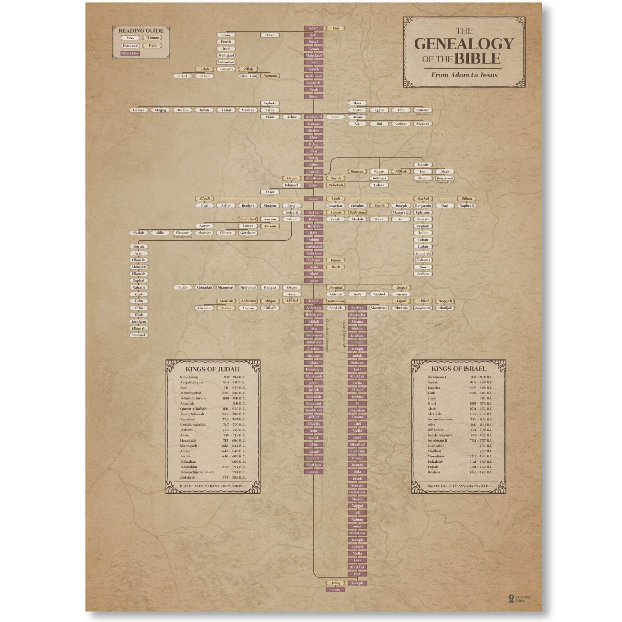 Biblical Genealogy Chart , Jesus Family Tree , Bible History Study Tool