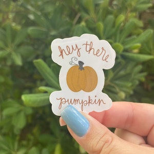 May include: A white sticker with the text "hey there pumpkin" in brown cursive writing. A cartoon orange pumpkin with a brown stem is in the center of the sticker.