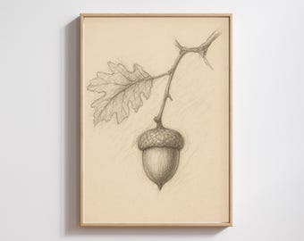 どんぐりの鉛筆画ウォールアート、印刷可能などんぐり、オークの木の