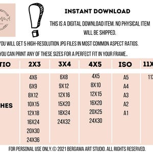May include: A digital download information chart with a light pink background and black text. It lists five aspect ratios: 2x3, 3x4, 4x5, ISO, and 11x14, with corresponding inch measurements for each. The text includes INSTANT DOWNLOAD and BERGAMA ART STUDIO.