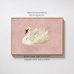 Vintage White Swan Print, Neutral Moody Bird Printable Wall Art, Farmhouse Soft Pink Decor, Antique Swan Painting, Printed & Shipped image 3
