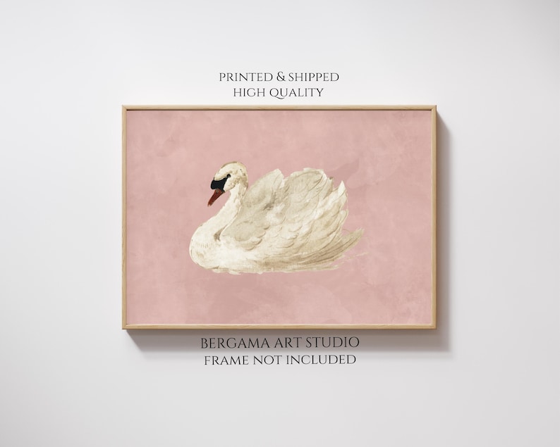 Vintage White Swan Print, Neutral Moody Bird Printable Wall Art, Farmhouse Soft Pink Decor, Antique Swan Painting, Printed & Shipped image 3