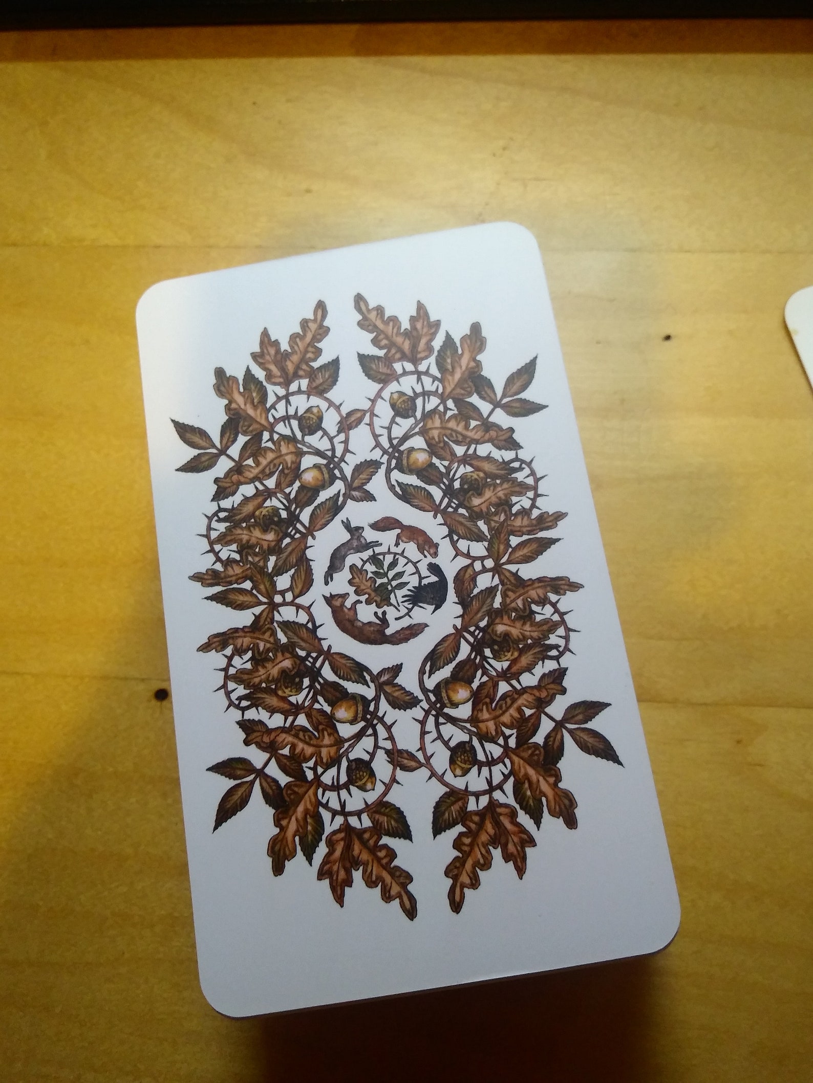 Oak Ash And Thorn Tarot Oak Ash & Thorn tarot Indie OOP Limited First edition with | Etsy
