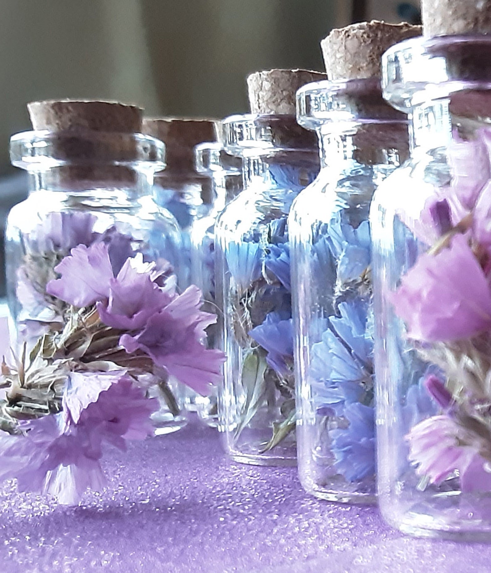 Natural Dried Flowers in Miniature Bottles Etsy