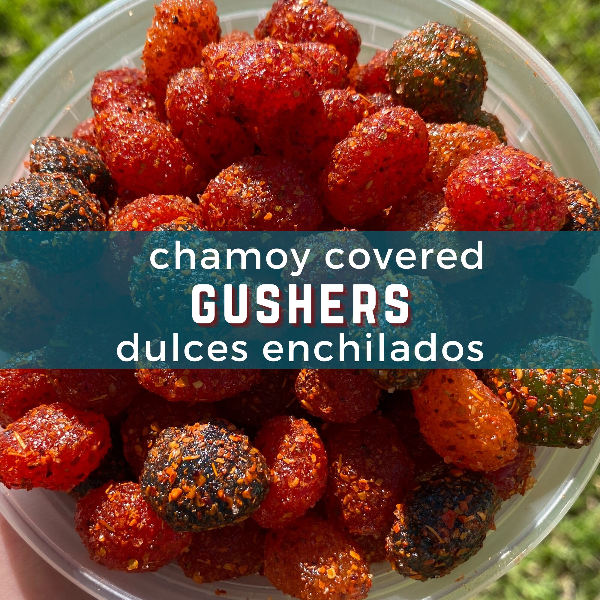 Chile Chamoy Gushers Etsy