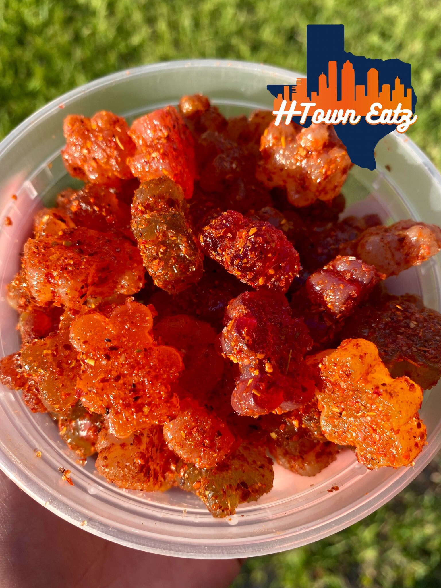 Dulces Enchilados Gummy Bears Chamoy Candy Spicy Gummy Etsy