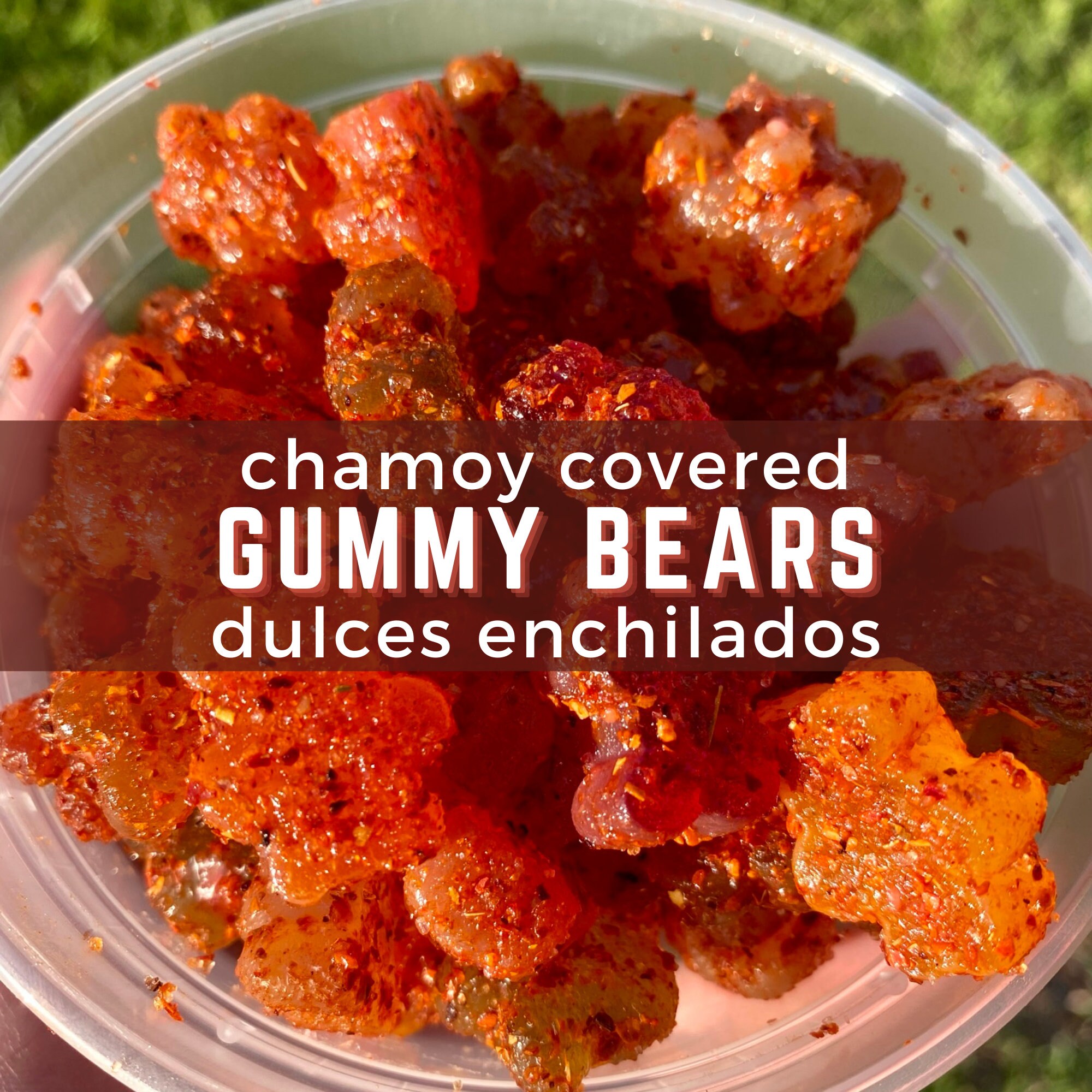 Dulces Enchilados Gummy Bears Chamoy Covered Gummy Bears Etsy