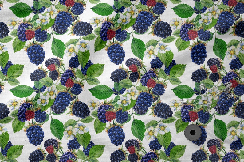 May include: A seamless pattern featuring watercolor illustrations of blackberries and white flowers on a white background.