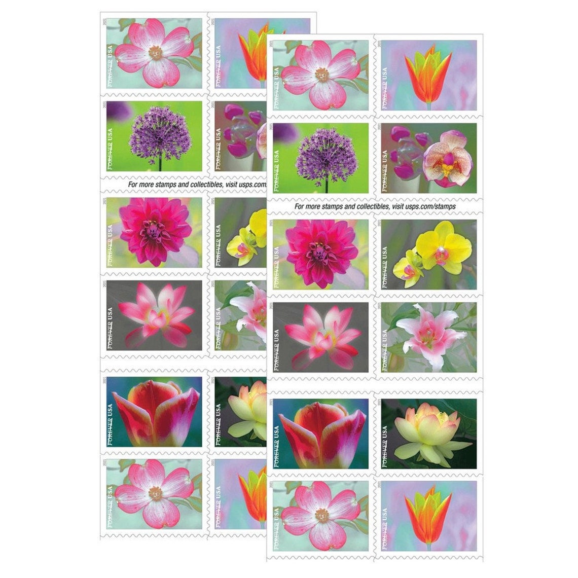 USPS New Garden Beauty Forever Stamps Booklet of 20 2021 Etsy
