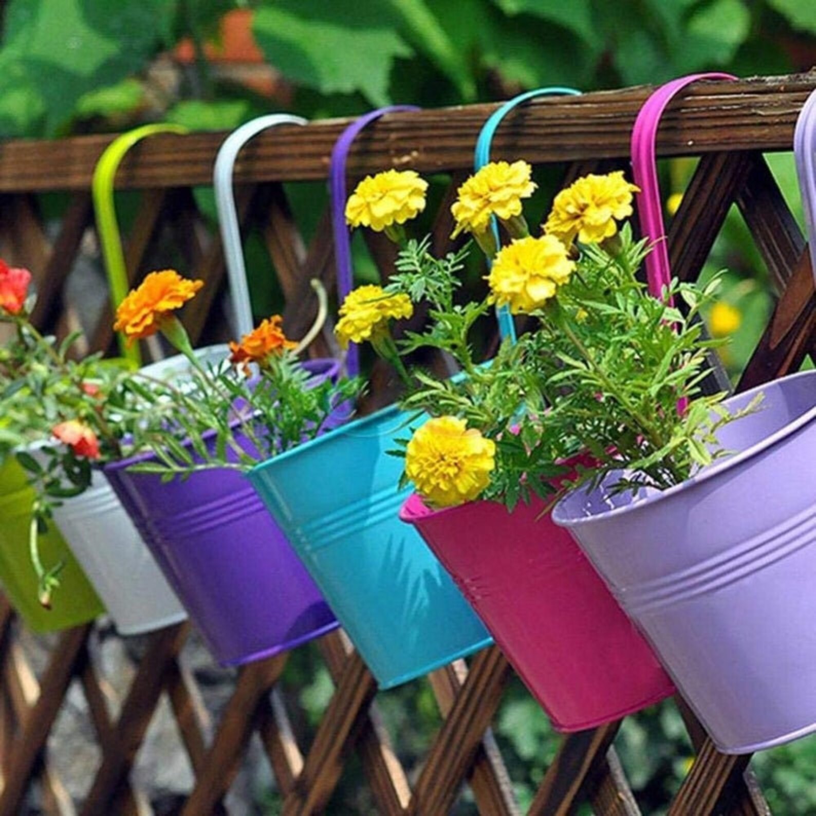 10pcs Multicolor Metal Hanging Flower Pots Garden Pots Etsy