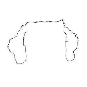 Customised Digital Pet Ear Outline Drawing