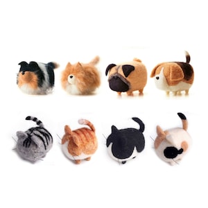 Cat and Dog Needle Felting Kits for Beginners with English Instruction, Gift for Mother's Day