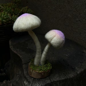 White Mushroom Fairy Needle Felting Kit Gift for Mom Easy for Beginners