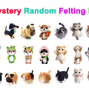 Mother's Day Gift Mystery Needle Felting Kit Random 12 Dogs and 9 Cats Felting Supplies for Beginner Full Kit - Include Everything to Make