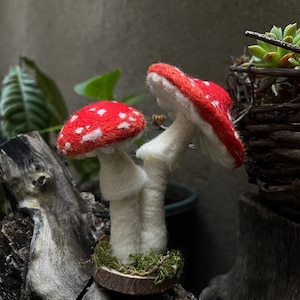 Red Mushroom Fairy Needle Felting Kit Gift for Mom Easy for Beginners