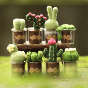 8 Pack Succulents Needle Felting Kits with Glass Pots - Mother&#39;s Day Present Craft Kit