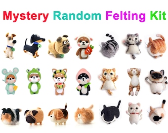 Mother's Day Gift Mystery Needle Felting Kit Random 12 Dogs and 9 Cats Felting Supplies for Beginner Full Kit - Include Everything to Make