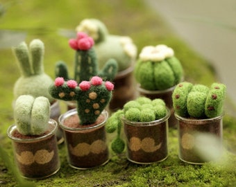 8 Cacti Needle Felting Kits for Beginners Gift Wrap Box Present for Mom, Grandma, Friends