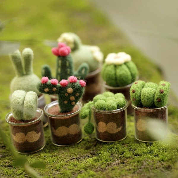 8 Cacti Needle Felting Kits for Beginners Gift Wrap Box Present for Mom, Grandma, Friends