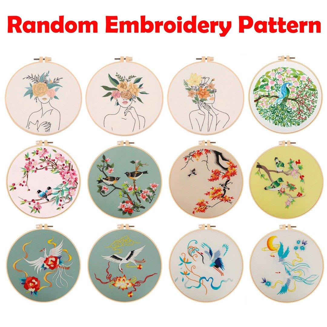 Embroidery Starter Kit: Random Patterns, English Instructions (no Hoop ...