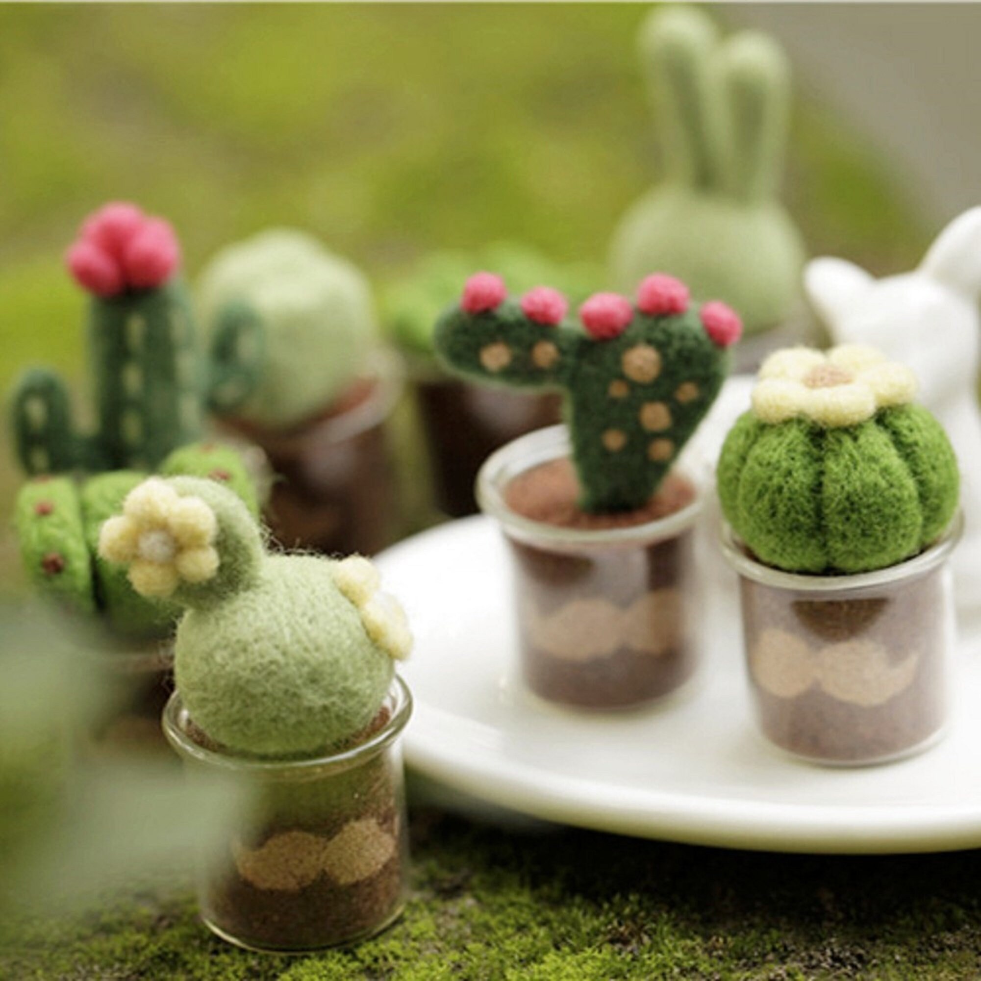 8 Pack Succulents Needle Felting Kits with Glass Pots Gift Etsy