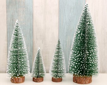 Mini potted christmas tree nz