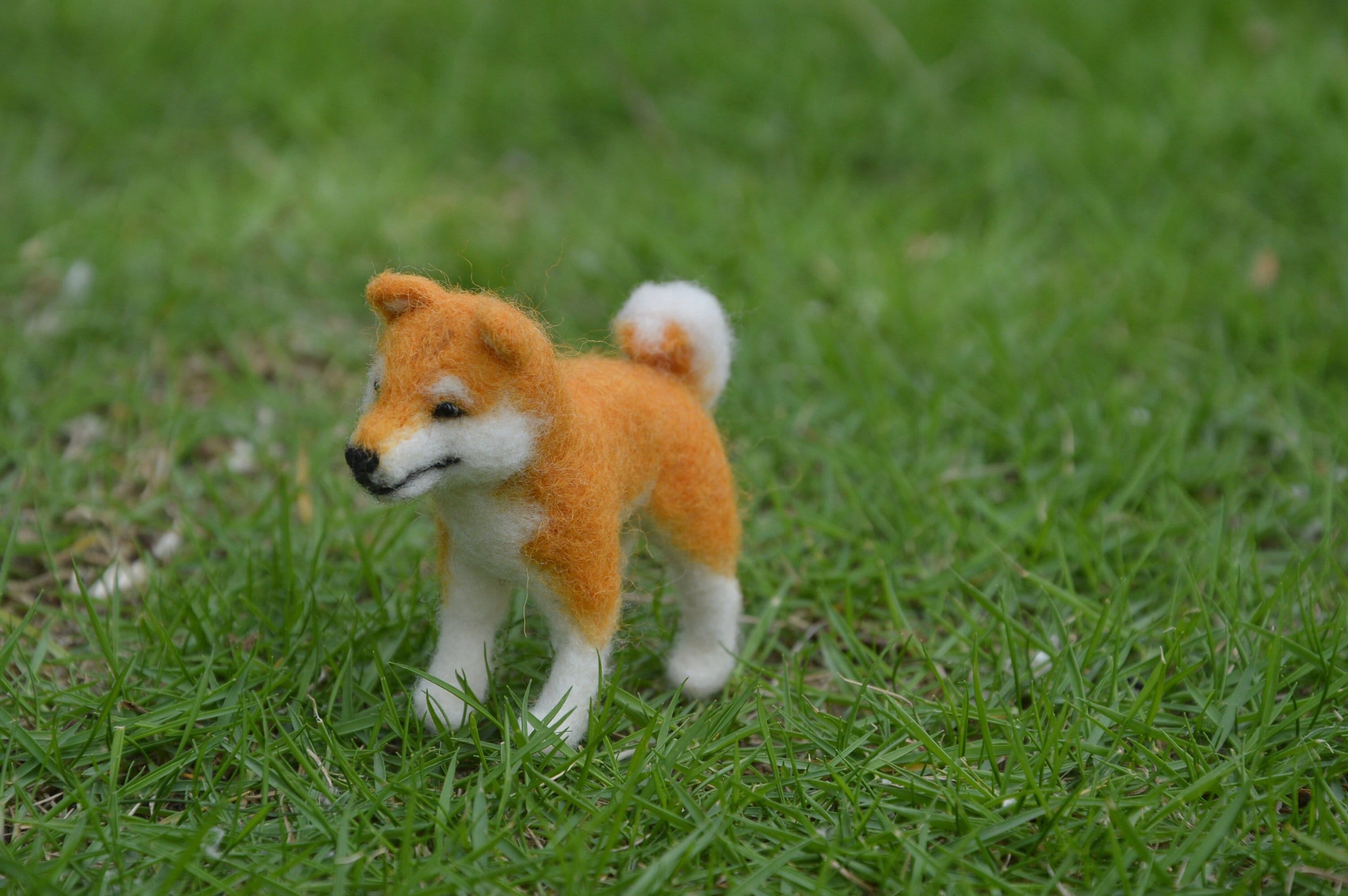 Kit de démarrage de feutrage à l'aiguille en feutre de laine - Fournitures de bricolage d'animaux 3D - Lot de 5 chiens Shiba Inu mignons - Facile pour