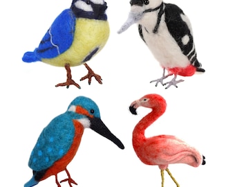 Birds Needle Felting Kit for Beginners DIY Bird Craft Kit Mother's Day Present
