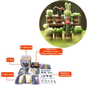 Swing Hase Nadelfilz Kit für Anfänger 10cm Geschenk zum Muttertag 8 Cacti Kits