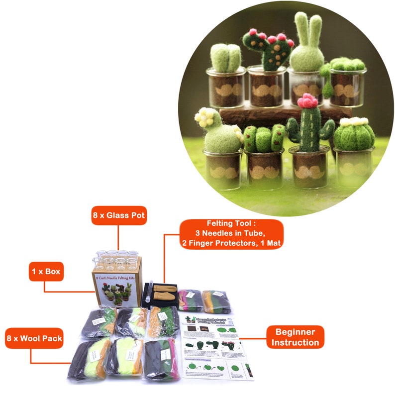 Swing Hase Nadelfilz Kit für Anfänger 10cm Geschenk zum Muttertag 8 Cacti Kits