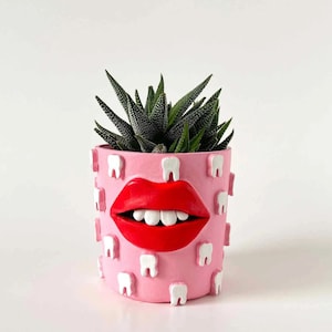 Quirky weird fun clay face pot with lips and teeth dentist gift - planter