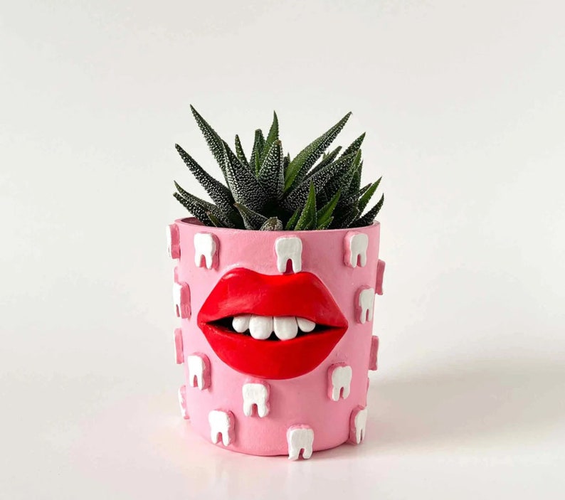 Quirky weird fun clay face pot with lips and teeth dentist gift planter image 1