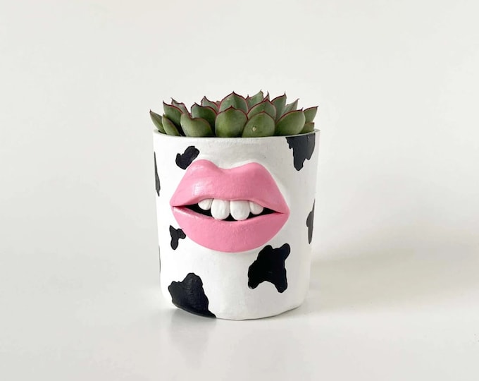 Maximalist home planter - quirky lips pot - quirky decor