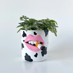 Quirky home decor mouth lips pot with cigarette // trashy home stuff // plant pot