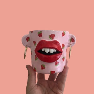 Cute strawberry print planter pot - quirky lips - funky decor