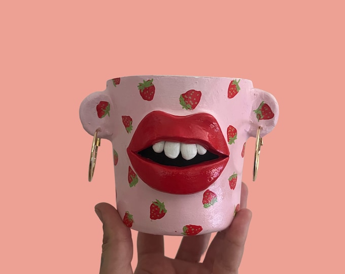 Cute strawberry print planter pot - quirky lips - funky decor