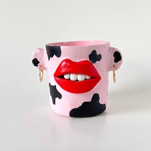 Quirky eccentric maximalist plant pot - red lips cow print pink earrings - funny gift - plant pot