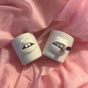 Pinta tu propia cara en maceta: manualidad hecha a mano, actividad para despedida de soltera