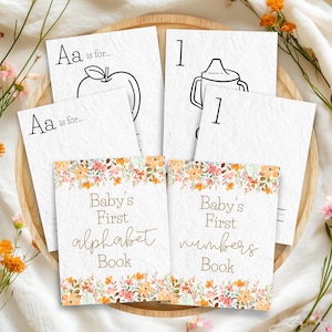 Baby&#39;s First ABC 123 Book, Printable Alphabet Numbers Coloring Pages, Baby Shower Activity, Guest Book Alternative, 1st Birthday Gift, FL3