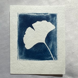 Botanische print cyanotypie