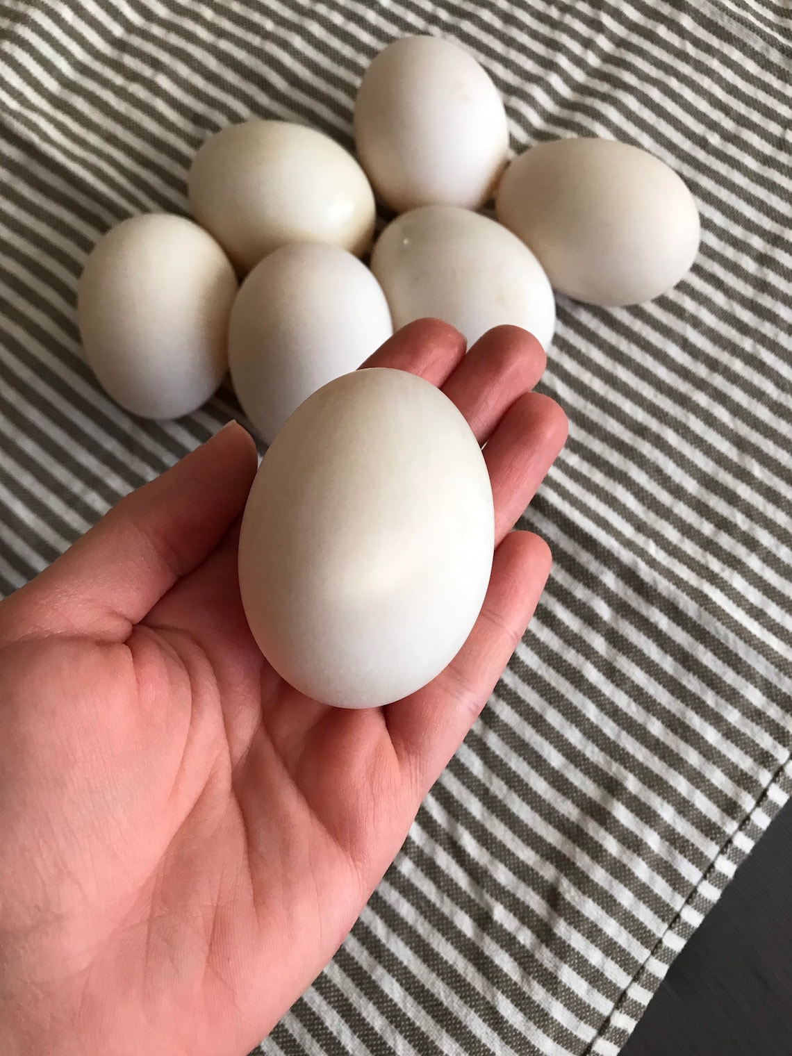 Fresh Duck Eggs Large Eggs For Eating Free Range Organic Etsy
