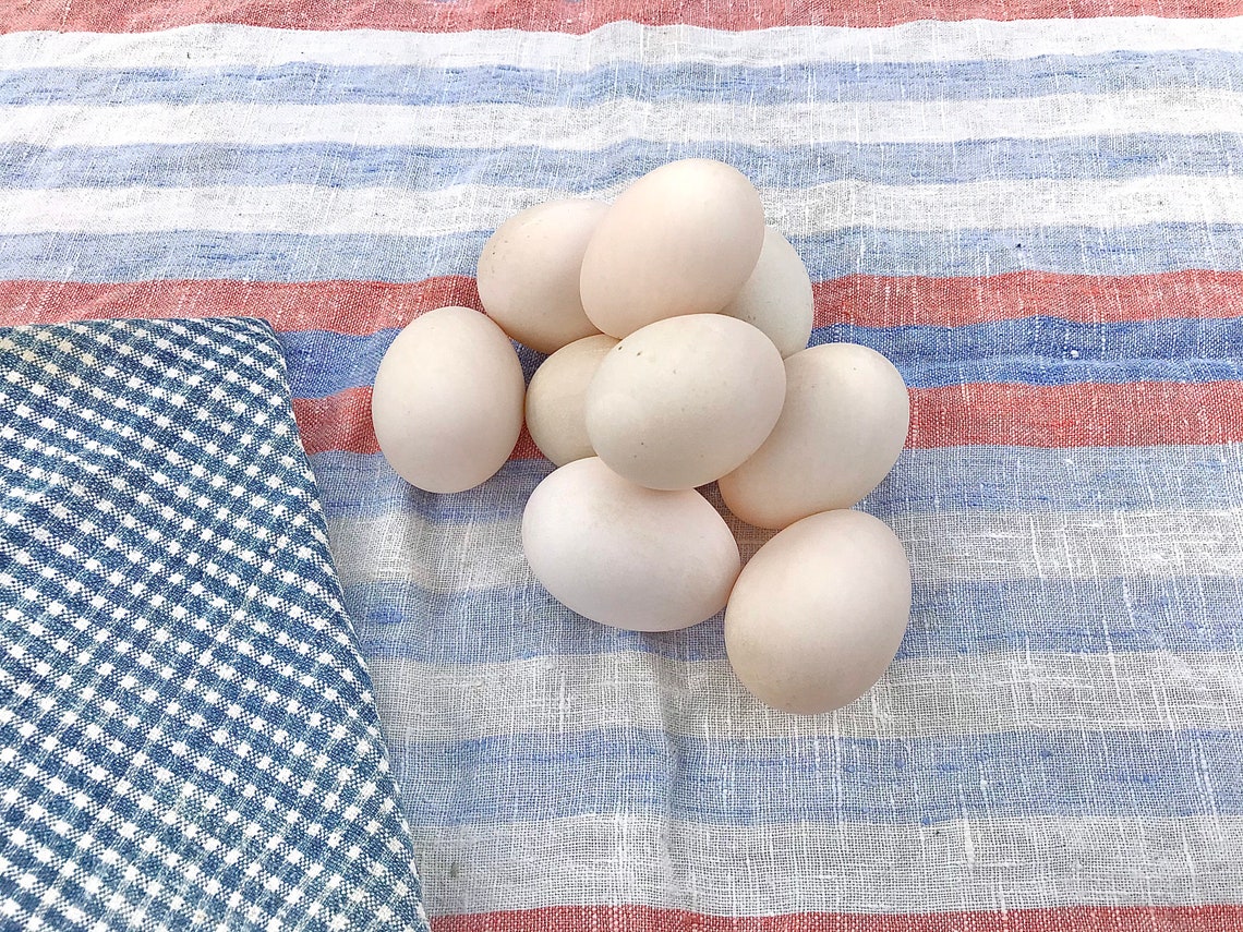 SALE Fresh Duck Eggs Large Eggs For Eating Free Range Etsy