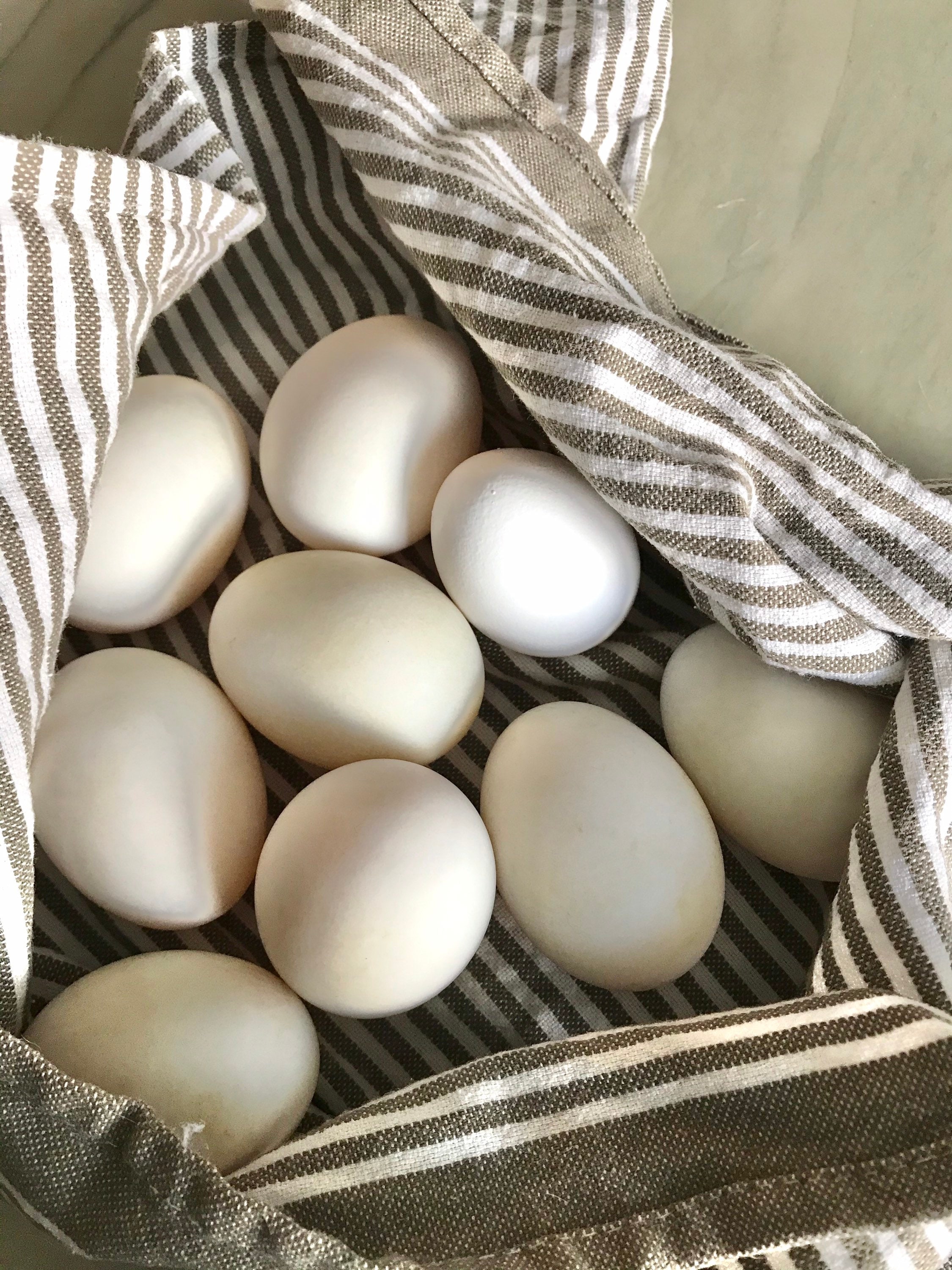 SALE Fresh Duck Eggs Large Eggs For Eating Free Range Etsy