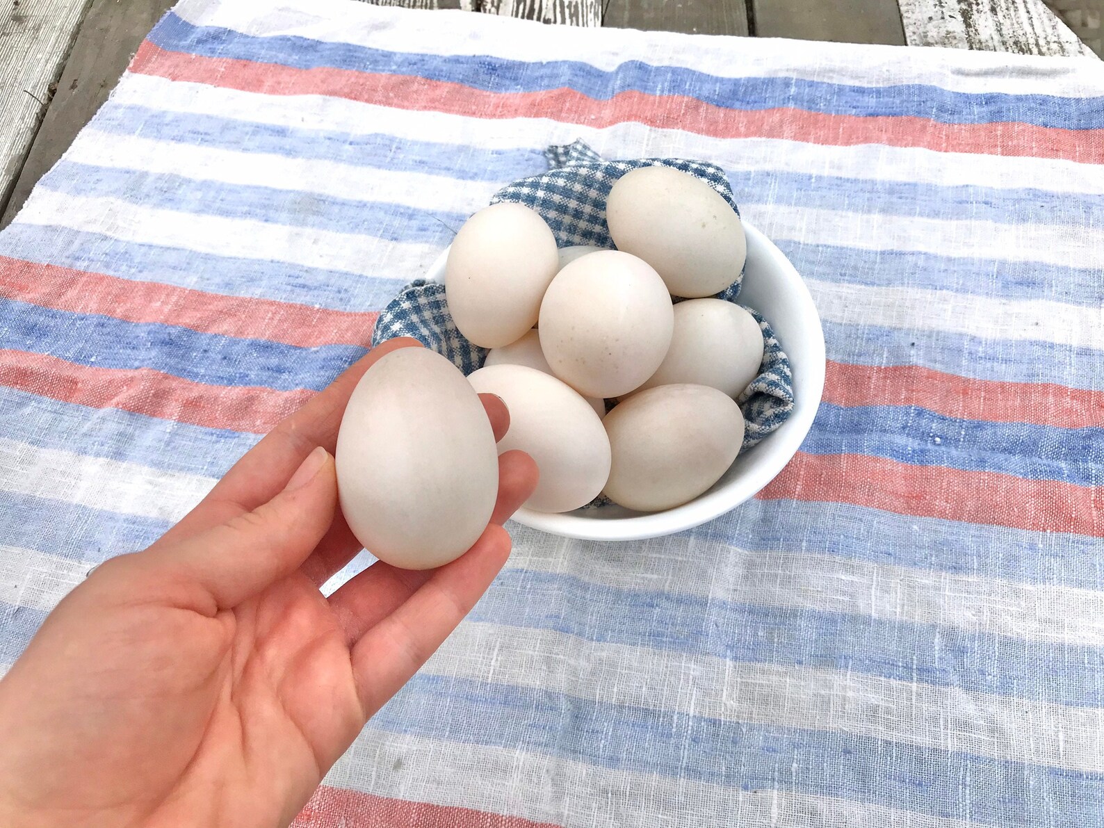 SALE Fresh Duck Eggs Large Eggs For Eating Free Range Etsy